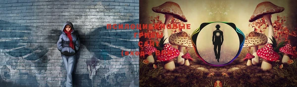 каннабис Зерноград