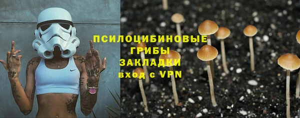 не бодяженный Зеленокумск