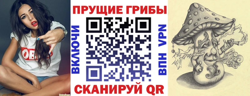 Псилоцибиновые грибы GOLDEN TEACHER  Купить  Светогорск 